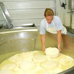 fabrica de branza o 1