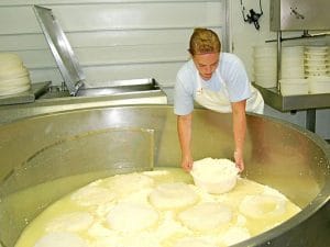 fabrica de branza o 1
