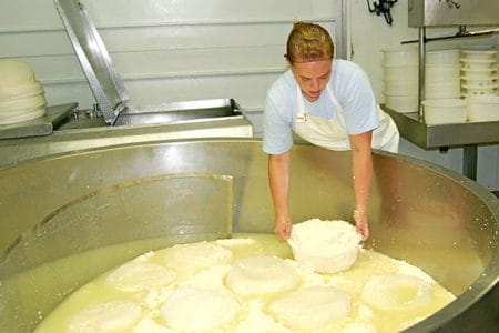fabrica de branza o 1