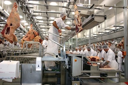 fabrici carne o 1