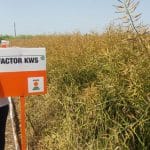 factor kws 2 o 1