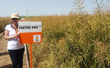 factor kws 2 o 1