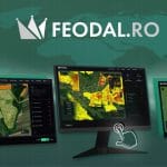 feodal o