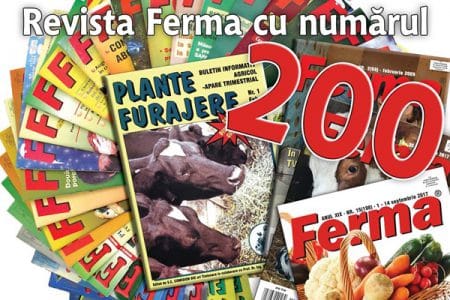 ferma 200 o