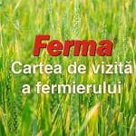 ferma carte de identitate o