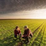fermieri belgia o