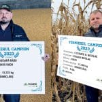 fermierii campioni la porumb din ardeal o