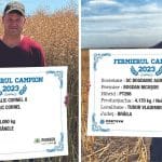 fermierii campioni la rapita din galati si braila corteva o
