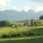 fermierul 053741 2 o 1