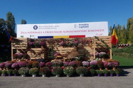 flori herastrau o