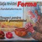 foto fundatie o 1