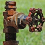 foto pag25 o 2