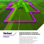 fungicid cereale verben corteva