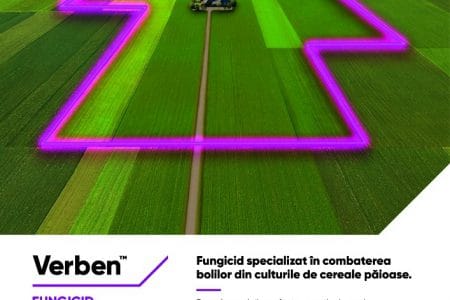 fungicid cereale verben corteva