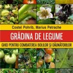 gradina de legume nou o 1