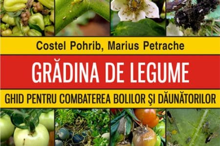 gradina de legume nou o 1