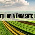 ilegal apia o