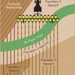 ilustratie multihibrid biso o 1