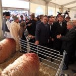 img 2841 o