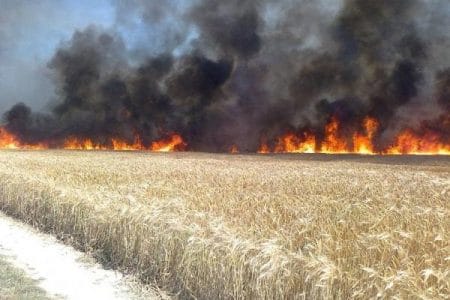 incendiu baciu cop o