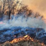 incendiu vegetatie 2 o