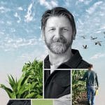 inspirat din natura daruit plantelor cover o