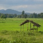 intalnire strategie agricol o 1