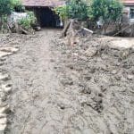 inundatii 2019 trei o