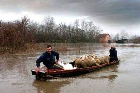 inundatii serbia o 1