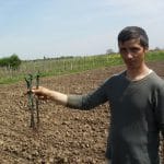ionut ciribasa o 1