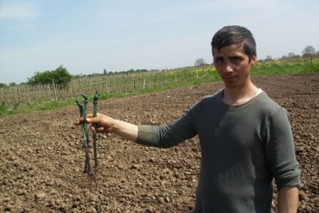 ionut ciribasa o 1