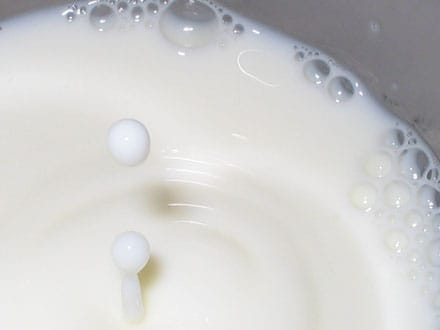 lapte de vaca o 1