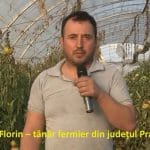 lazar afir o