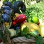 legume 2014 o 1