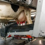 lely astronaut a5 o