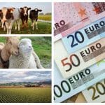 lista subventii apia 2021 o