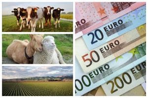 Ajutoare de stat vegetal și zootehnie, la aprobare în următoarele două săptămâni!