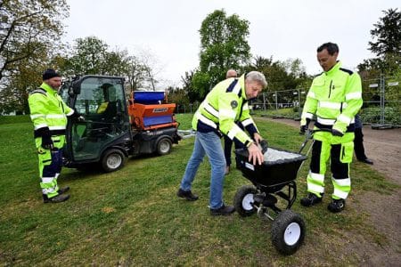 lund gainat de pasare o