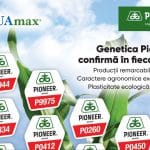 macheta pioneer porumb a4 o