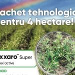 macheta pixxaro coperta o