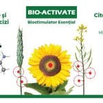 machete web 01 bioactivate o