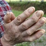 maini muncite fermier o