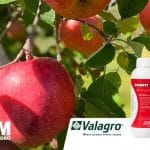 malagrow ro o