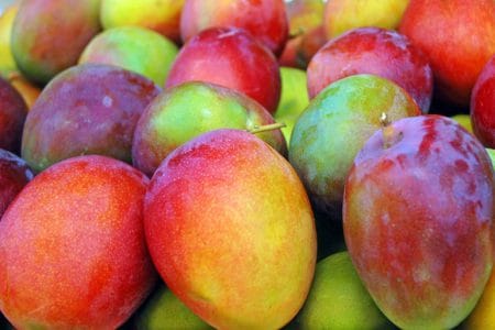mango o 1