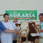 marele premiu o 1
