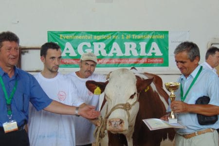 marele premiu o 1
