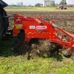 maschio o 1
