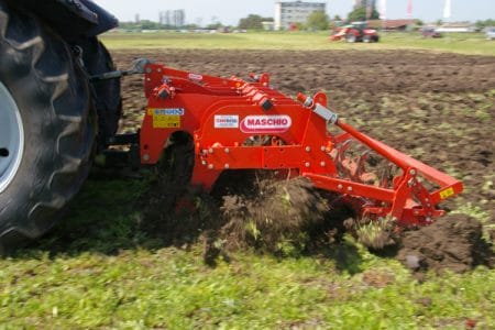 maschio o 1