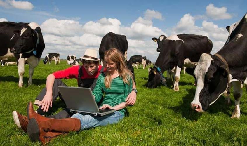 mici fermieri tineri o