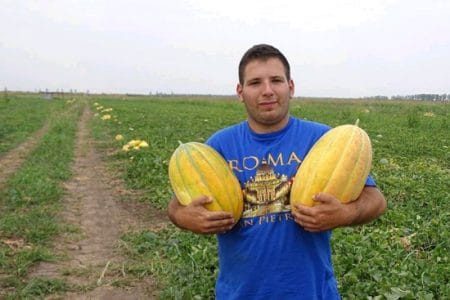 mihai florian dinu pepeni o